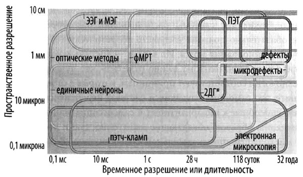 Эволюция разума