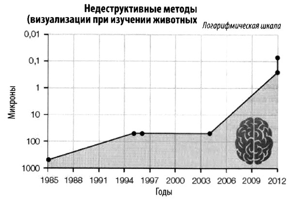 Эволюция разума