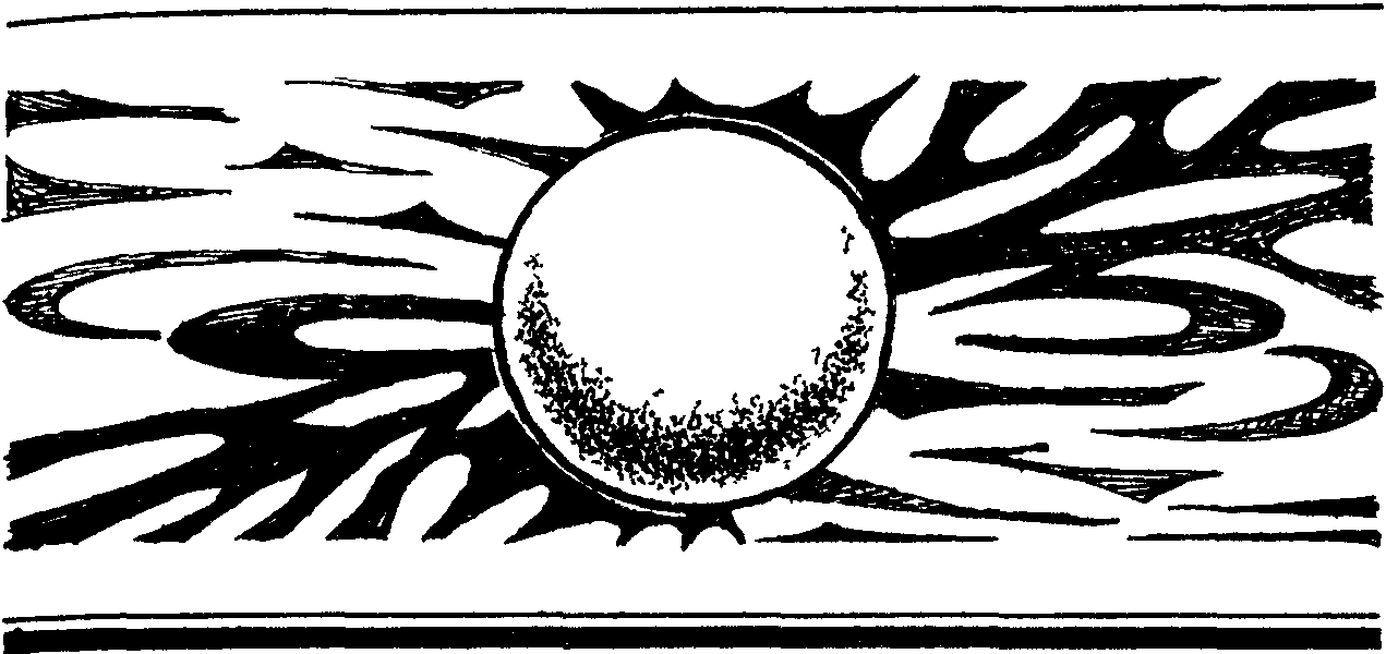 Год Единорога (сборник)