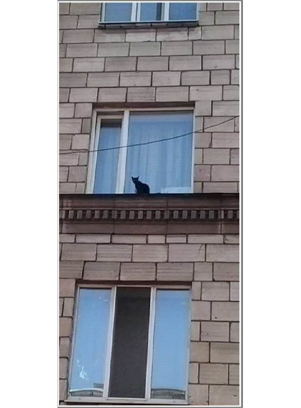 Запорожье, год 2018-й