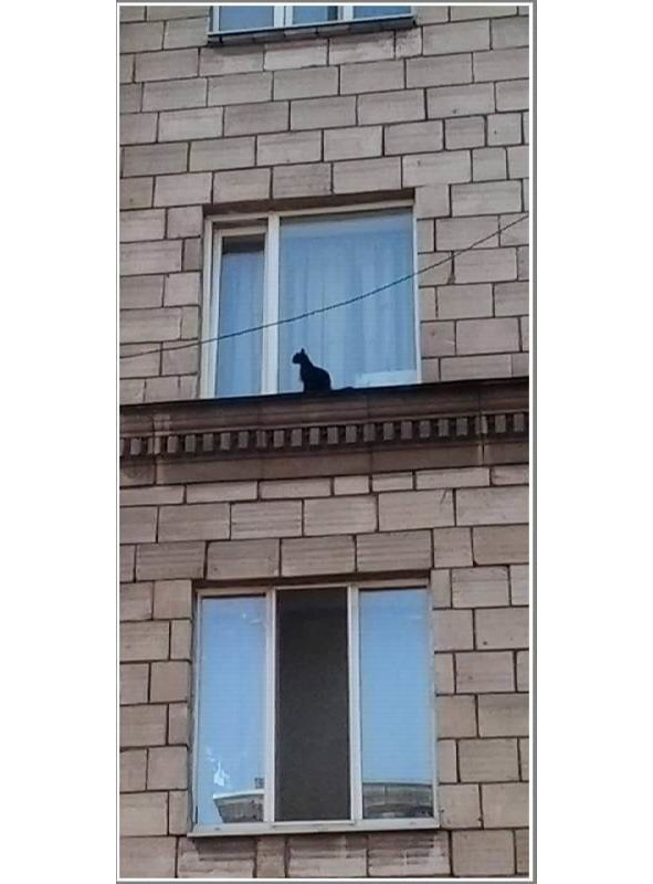 Запорожье, год 2018-й