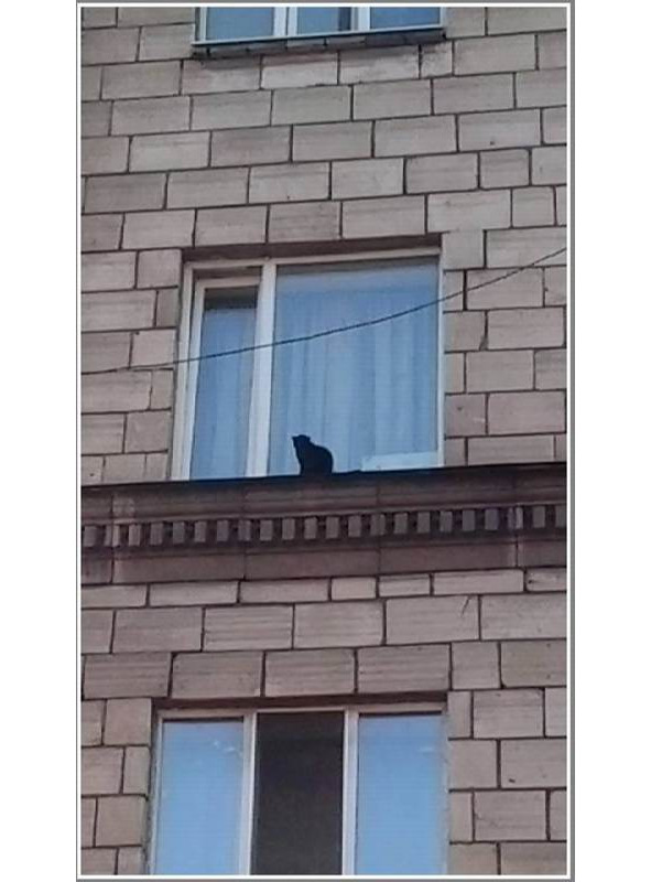 Запорожье, год 2018-й