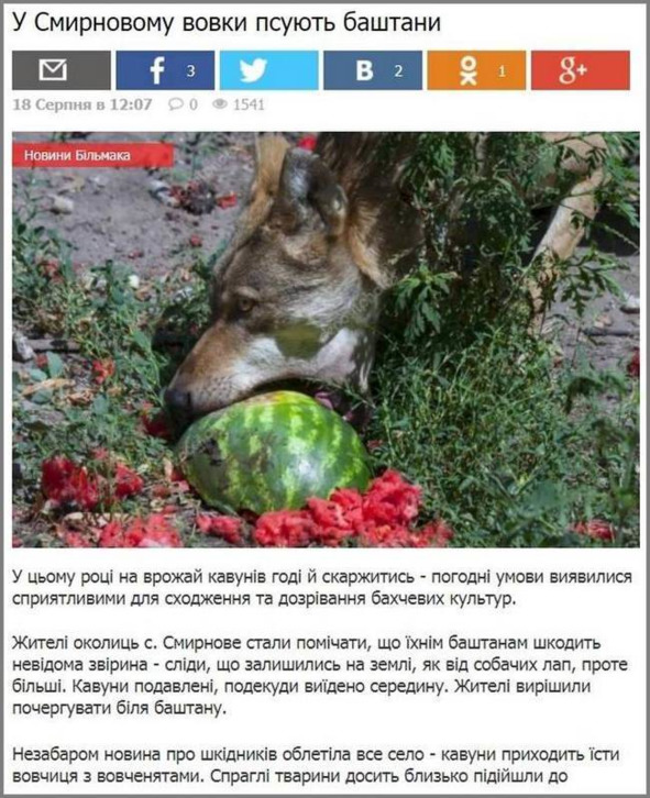 Запорожье, год 2018-й