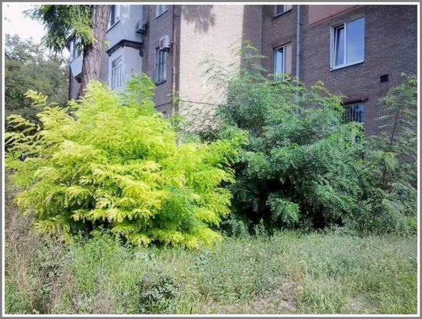 Запорожье, год 2018-й