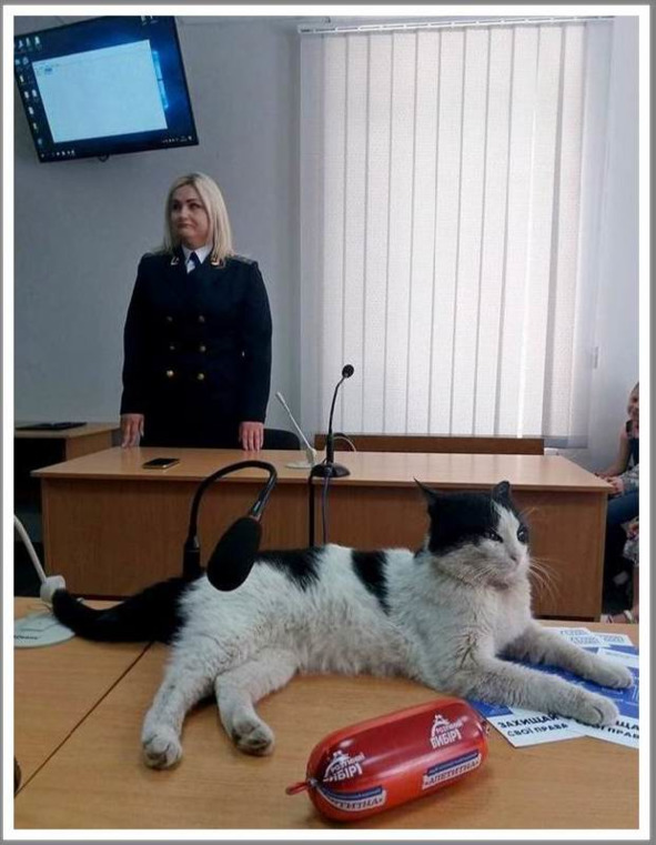 Запорожье, год 2018-й