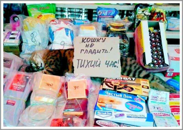 Запорожье, год 2018-й