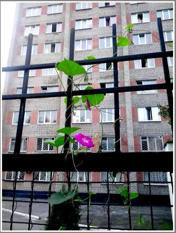 Запорожье, год 2018-й