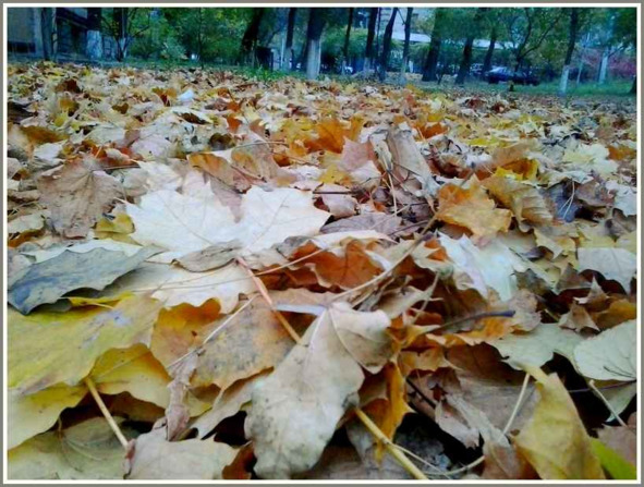 Запорожье, год 2018-й