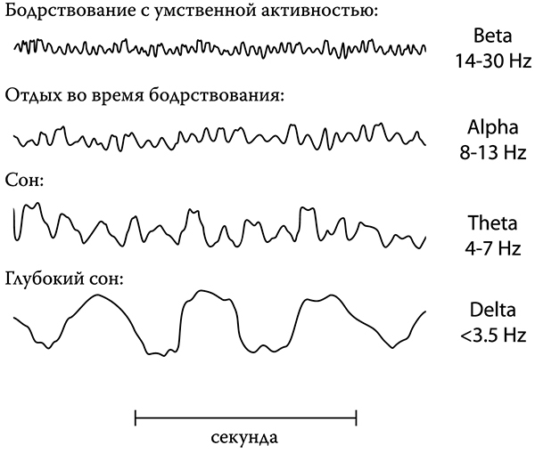 Неправда о нашем теле. Заблуждения, в которые мы верим