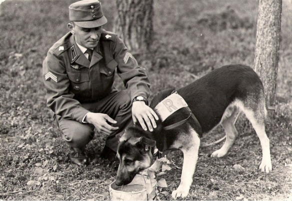 Побег из рая
