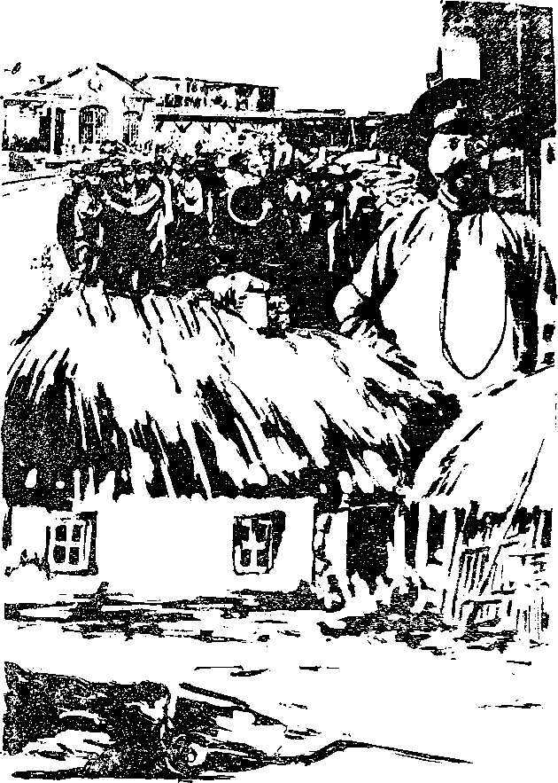 Перед штормом