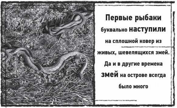 Мыс Черных сов
