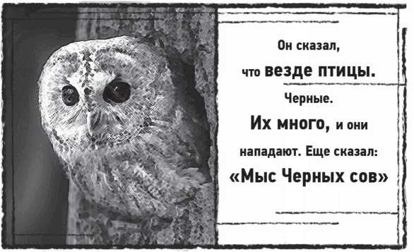 Мыс Черных сов