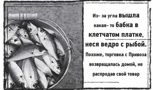 Мыс Черных сов
