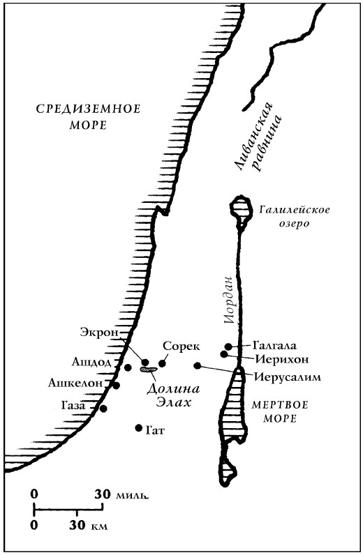 История Древнего мира: от истоков цивилизации до падения Рима (перевод Гончаров Владислав)