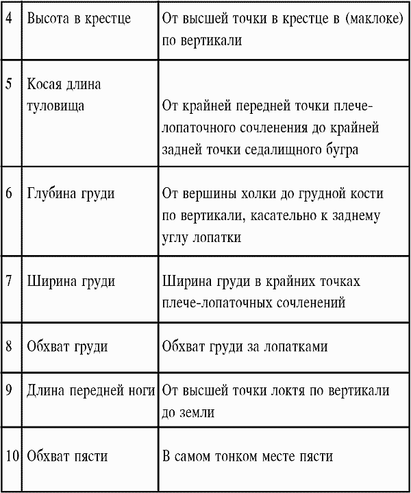 Разведение кошек и собак. Советы профессионалов