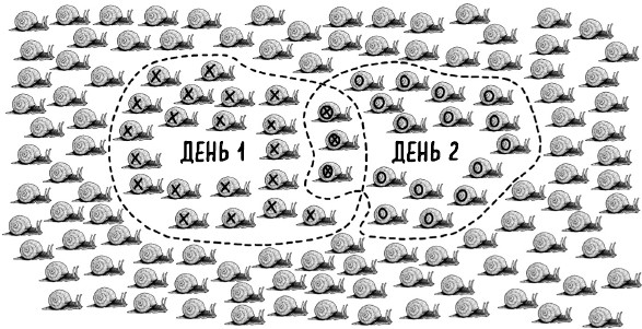 Математика жизни и смерти. 7 математических принципов, формирующих нашу жизнь