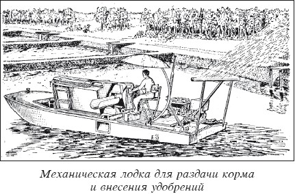 Разведение рыбы, раков и домашней птицы
