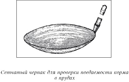 Разведение рыбы, раков и домашней птицы