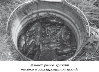 Разведение рыбы, раков и домашней птицы