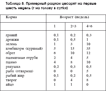 Разведение рыбы, раков и домашней птицы