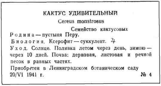 Путешествие с домашними растениями