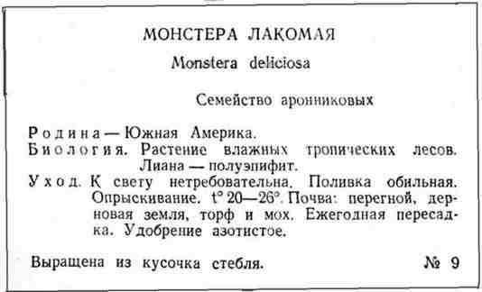 Путешествие с домашними растениями