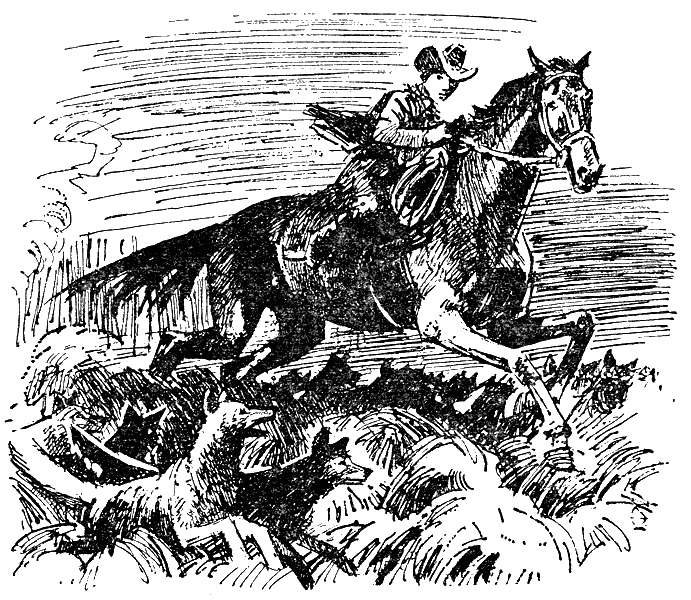 Дети капитана Гранта