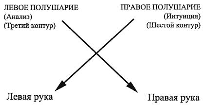 Психология эволюции