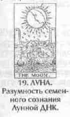 История будущего
