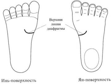 Су Джок семянотерапия