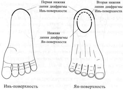 Су Джок семянотерапия