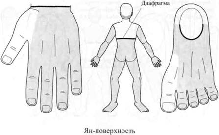 Су Джок семянотерапия