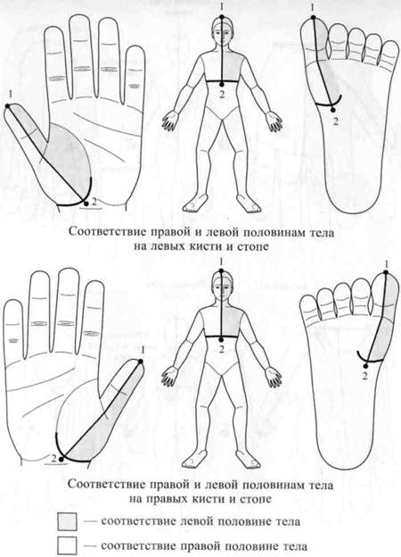 Су Джок семянотерапия
