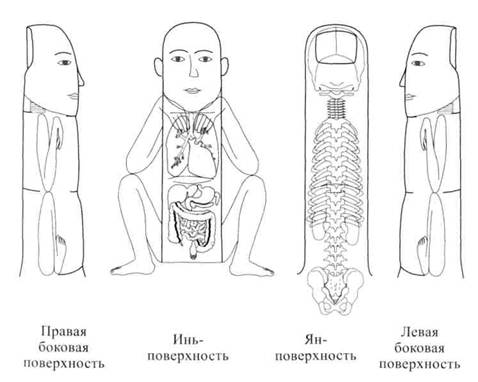 Су Джок семянотерапия