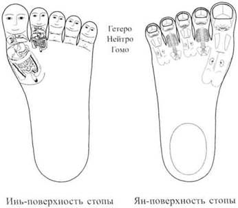 Су Джок семянотерапия