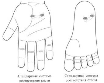 Су Джок семянотерапия