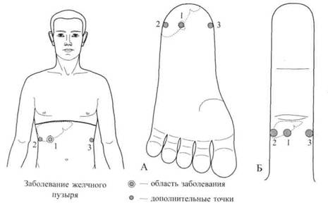 Су Джок семянотерапия