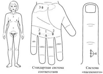 Су Джок семянотерапия