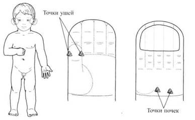 Су Джок семянотерапия