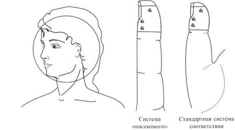 Су Джок семянотерапия