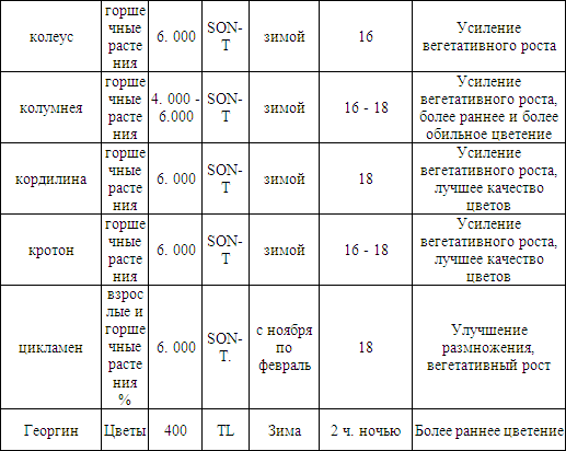 Теплица, парник, зимний сад