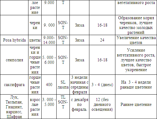 Теплица, парник, зимний сад