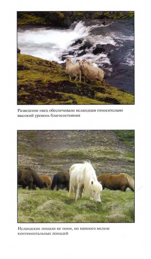 Средневековая Исландия