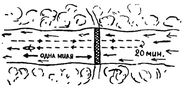 Занимательная математика