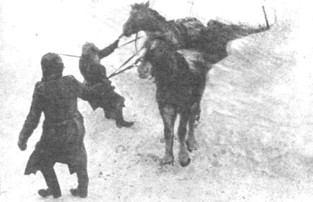 Ржев - краеугольный камень Восточного фронта (Ржевский кошмар глазами немцев)