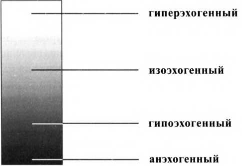 Восстановление щитовидной железы