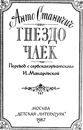 Гнездо чаек
