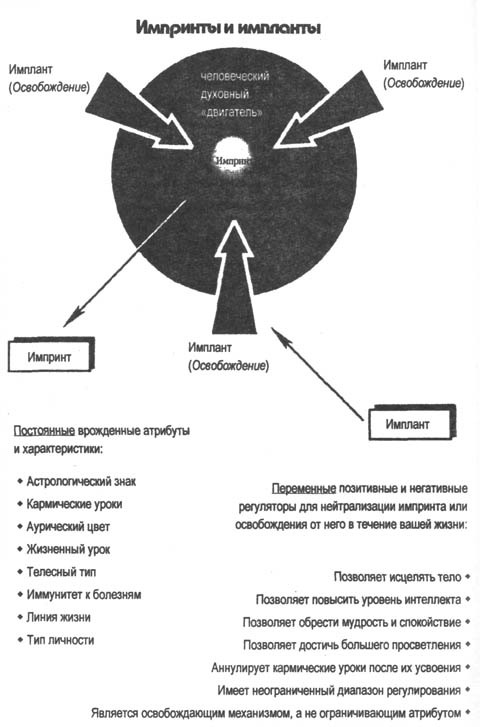 Последние времена