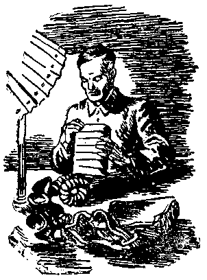 Тарантул